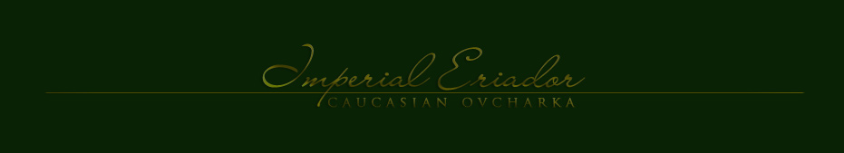 Hodowla boston terrier�w i owczark�w kaukaskich Imperial Eriador FCI